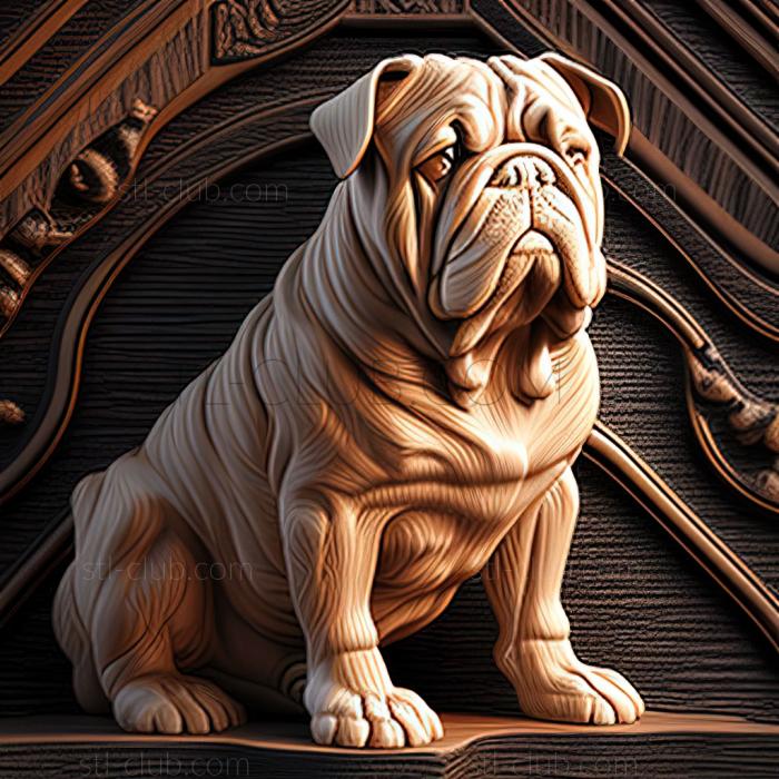 st Old English Bulldog dog